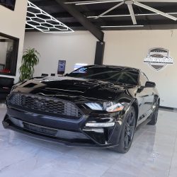Ford Mustang Coupe